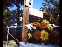 Flower slide 2